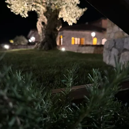 Hotel Tenuta Rosa - Gastronomia E Relax *