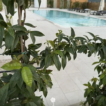 Tenuta Rosa - Gastronomia E Relax Hotel